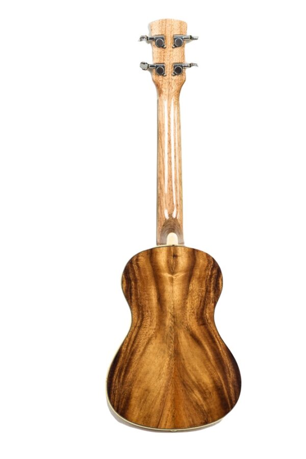 Noah Monkeypod Tenor