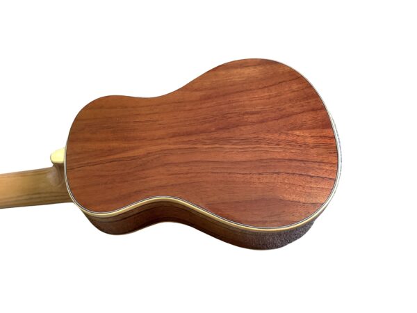 Noah 8 String Concert Ukulele