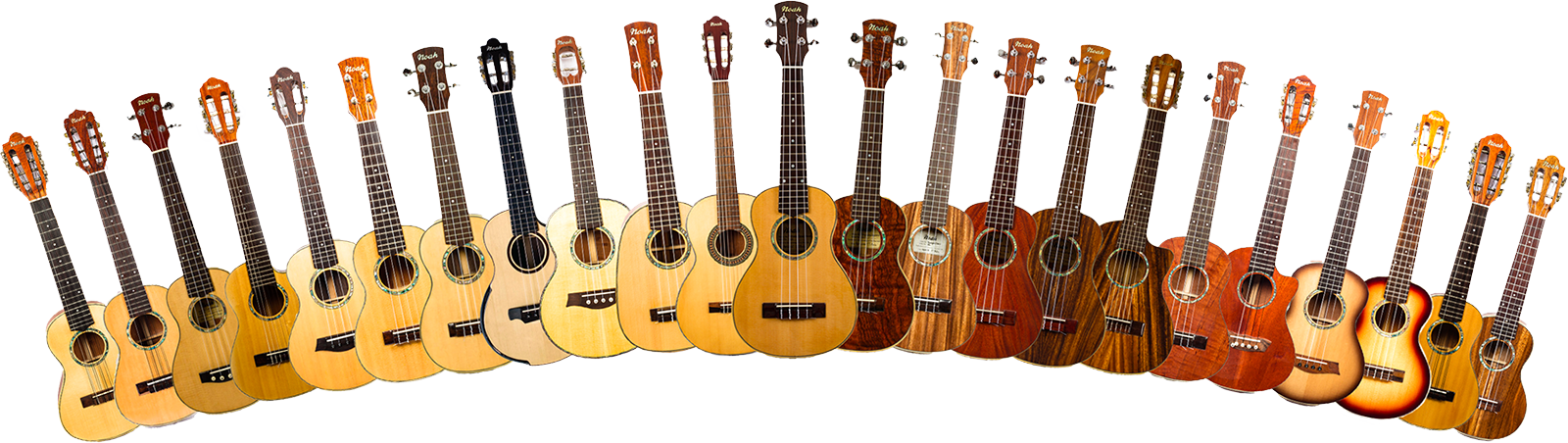 A large collection of ukuleles that show cases Noahs broad range of instruments