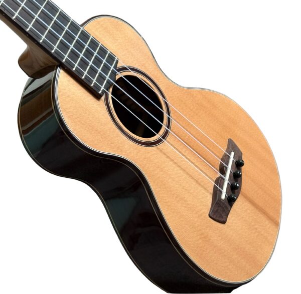 Noah Baby Tenor