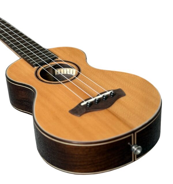 Noah Baby Tenor